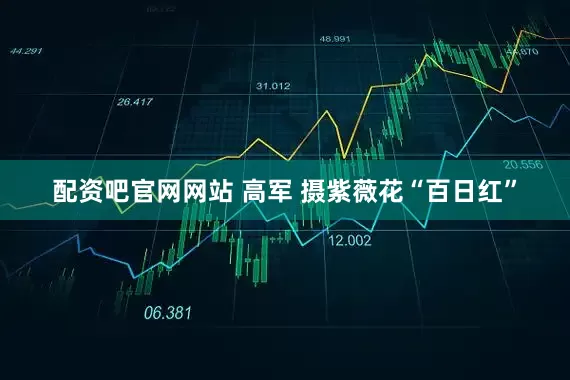 配资吧官网网站 高军 摄紫薇花“百日红”