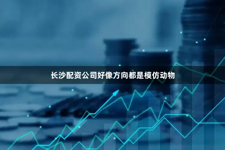 长沙配资公司好像方向都是模仿动物